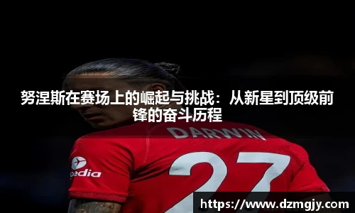 努涅斯在赛场上的崛起与挑战：从新星到顶级前锋的奋斗历程