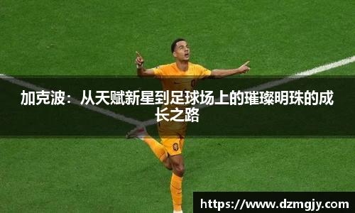 加克波：从天赋新星到足球场上的璀璨明珠的成长之路